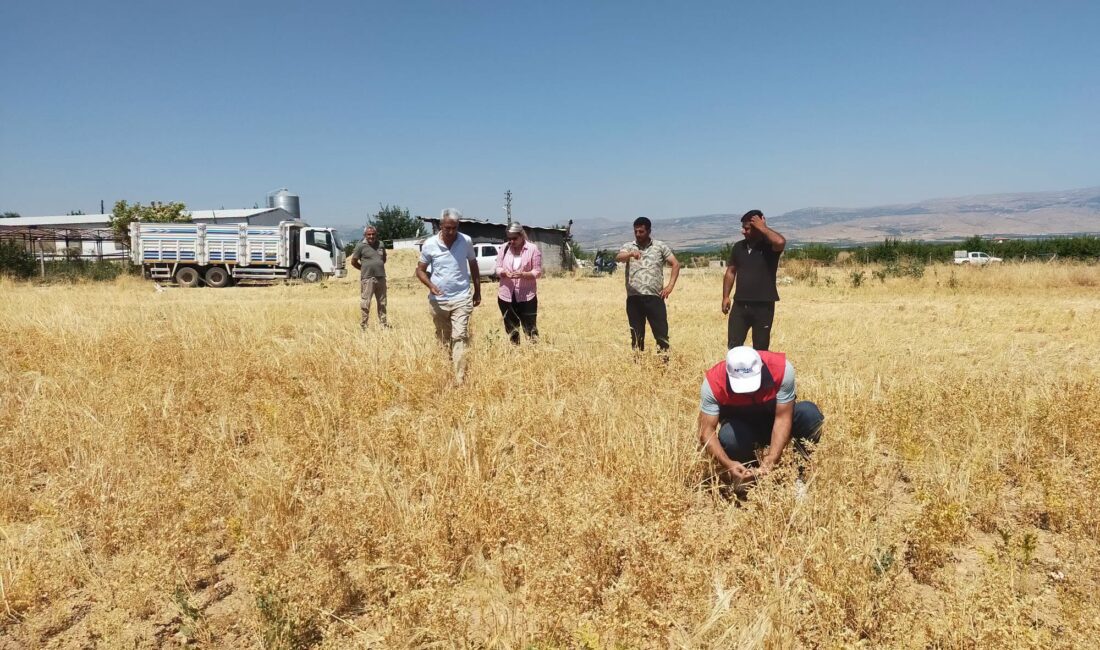 Tarım ve Orman Bakanlığı’nın TAKE Projesi kapsamında Yeşilyurt’ta 50 dekarlık